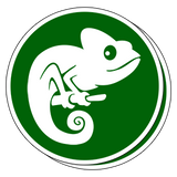 Custom Die Cut Vinyl Stickers