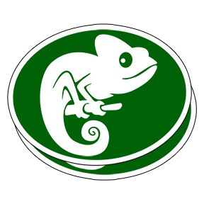 Custom Die Cut Vinyl Stickers