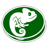 Custom Die Cut Vinyl Stickers