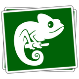 Custom Die Cut Vinyl Stickers