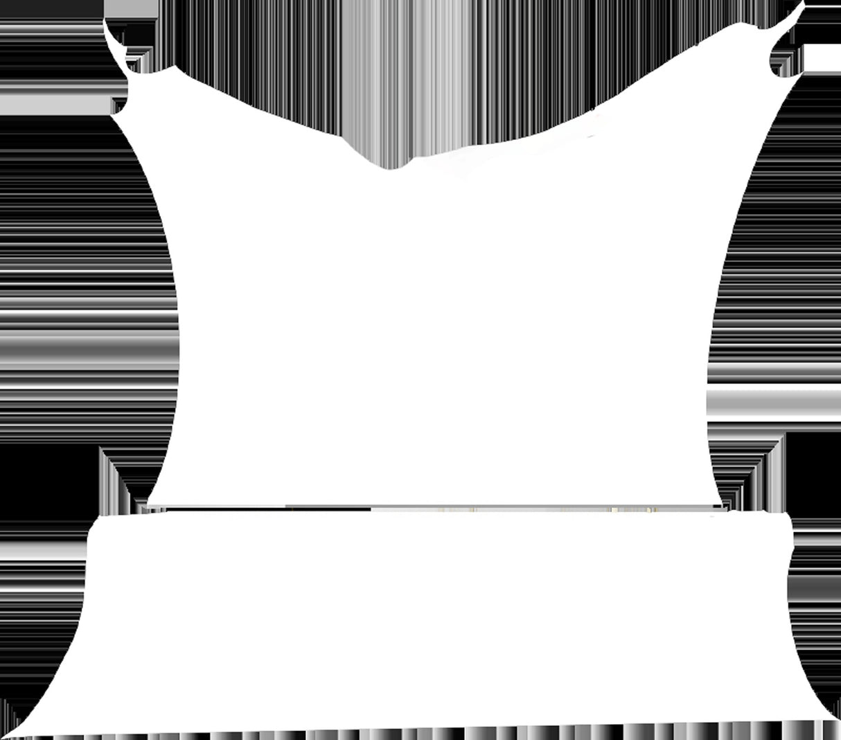 Rainbow Reflective DTF By Gang Sheet